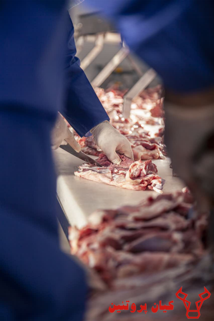 Picsart_25-08-21_02-02-17-266