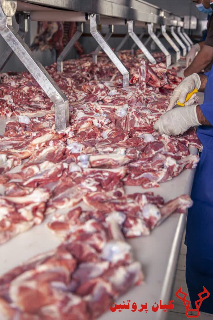 {"remix_data":[],"remix_entry_point":"challenges","source_tags":["local"],"origin":"unknown","total_draw_time":0,"total_draw_actions":0,"layers_used":0,"brushes_used":0,"photos_added":0,"total_editor_actions":{},"tools_used":{"transform":1},"is_sticker":false,"edited_since_last_sticker_save":true,"containsFTESticker":false}