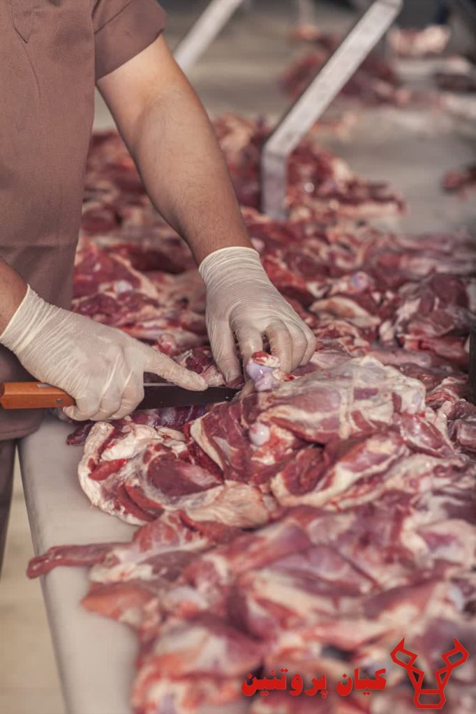 {"remix_data":[],"remix_entry_point":"challenges","source_tags":["local"],"origin":"unknown","total_draw_time":0,"total_draw_actions":0,"layers_used":0,"brushes_used":0,"photos_added":0,"total_editor_actions":{},"tools_used":{},"is_sticker":false,"edited_since_last_sticker_save":false,"containsFTESticker":false}